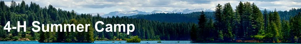 Summer Camp Banner
