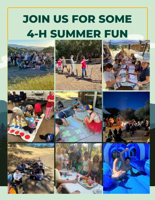 2023 Sonoma 4-H Camp Online